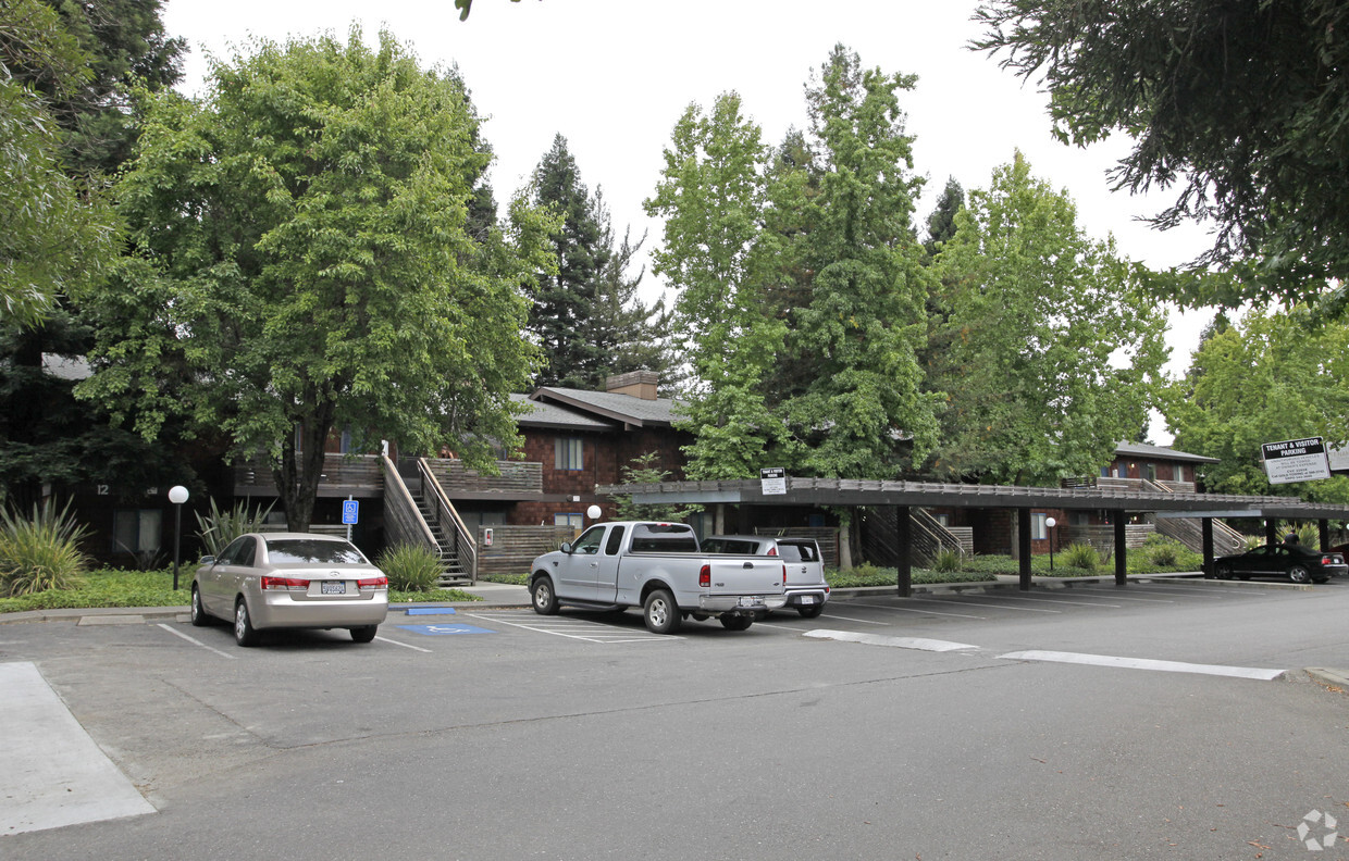 Primary Photo - Coddingtown Mall Apartments