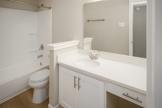 Interior Photo - Apex Hoover