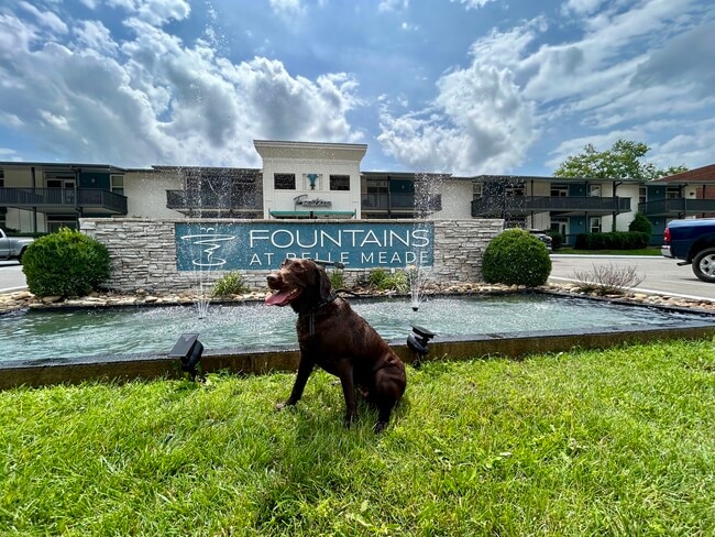 Building Photo - Fountains at Belle Meade
