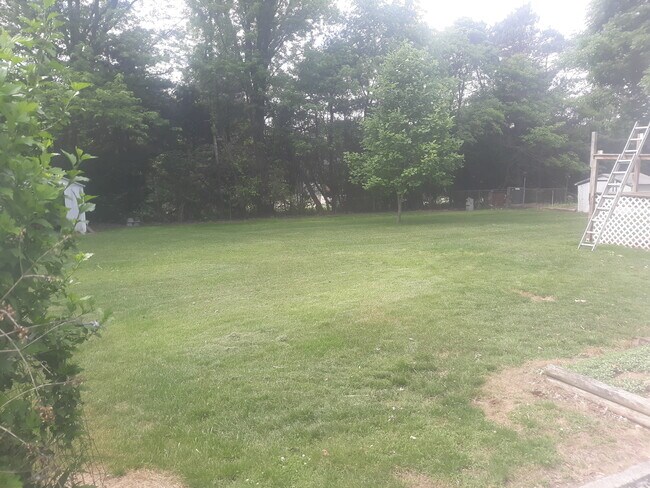 Rear Yard - 1238 Meyer Dr