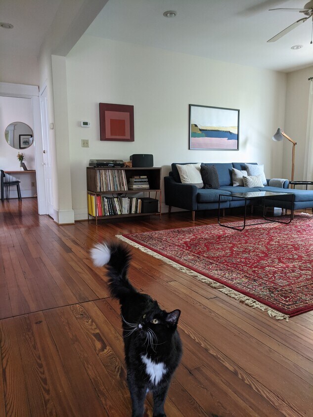 living room - 700 Hinton Ave
