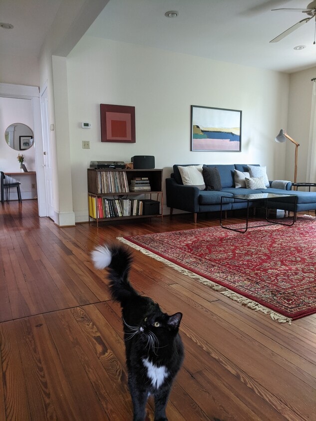 living room - 700 Hinton Ave
