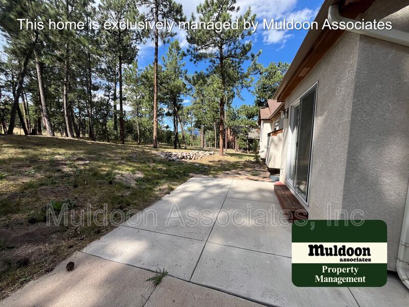 Foto del edificio - 125 Tall Pine Ln