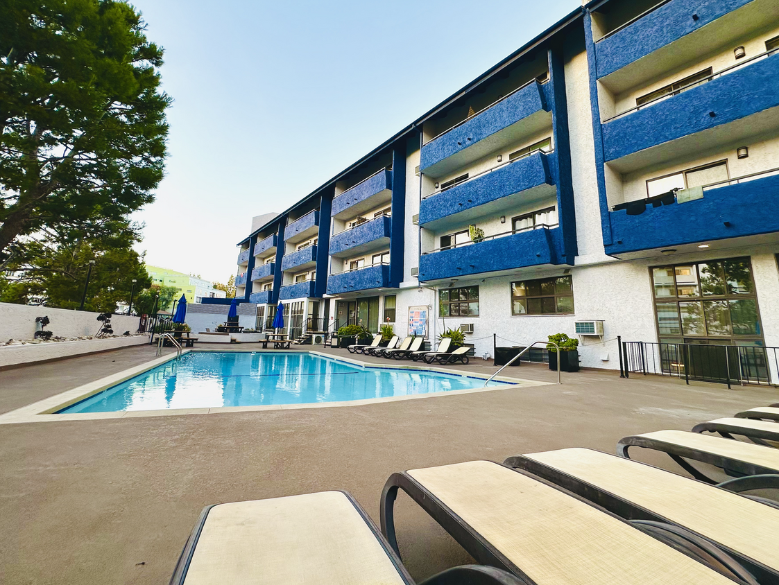 Relaxing pool with sun lounging beds - 10982 Roebling Ave