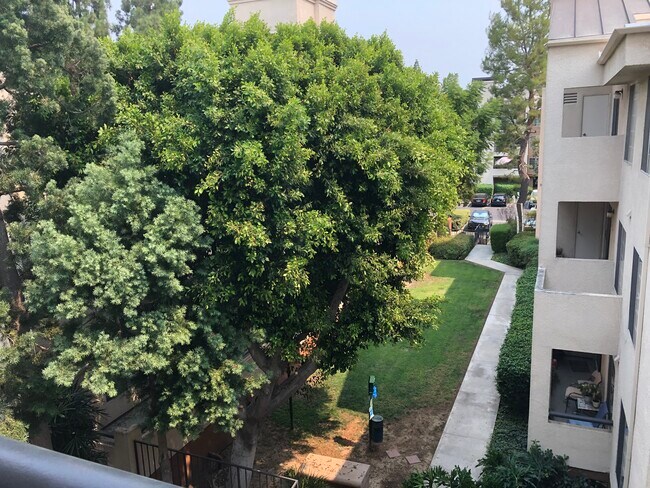Building Photo - 5525 Canoga Ave