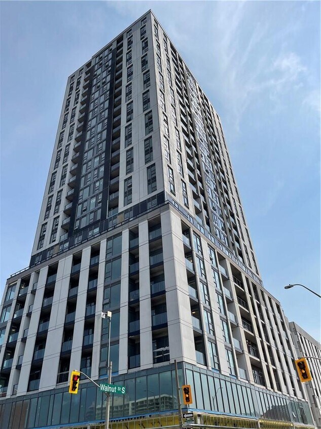 49 Walnut St S, Hamilton, ON L8N 2L1 House for Rent in Hamilton, ON