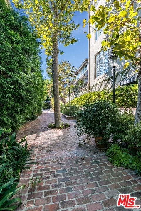 Building Photo - 1221 Sunset Plaza Dr