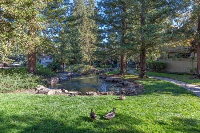Building Photo - 1407 La Terrace Cir