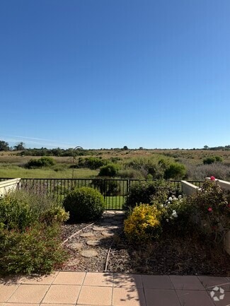 Backyard View - 7061 Marymount Way