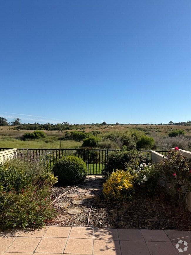 Backyard View - 7061 Marymount Way