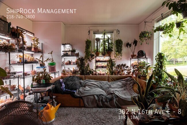 Foto del edificio - Windsor Apartments