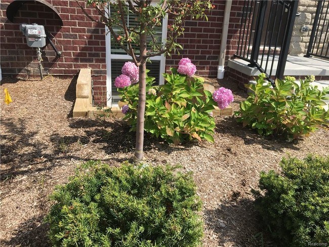 Foto del edificio - 2861 Hartwick Dr