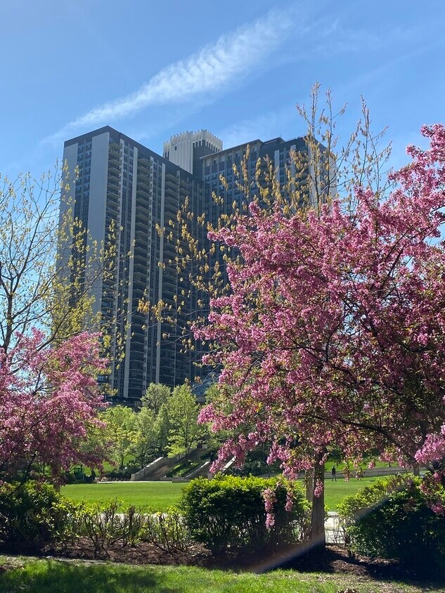 Foto principal - 400 E Randolph St