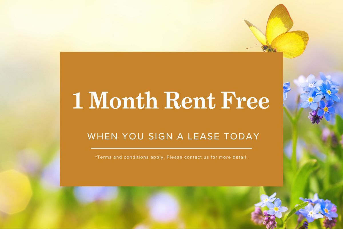 The View Apartment for Rent in Edmonton, AB