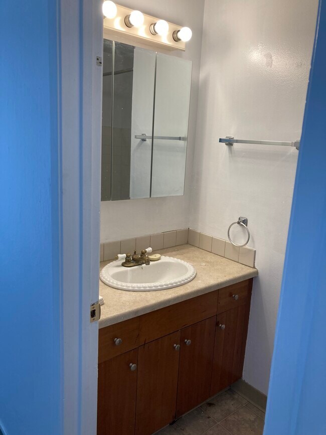 Bathroom - 317 88th St