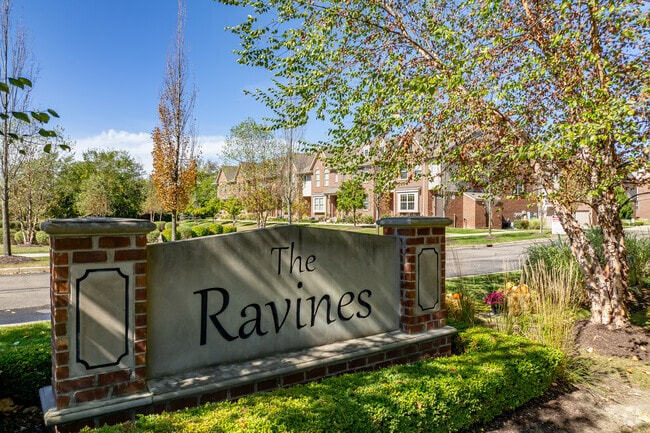The Ravines - Ravines
