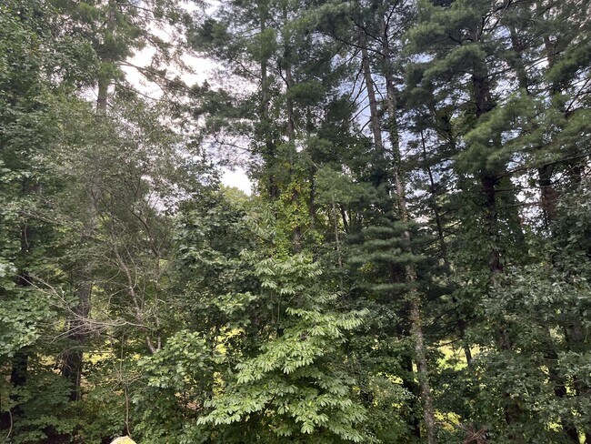 Foto del edificio - 44 Beach Crest Rise