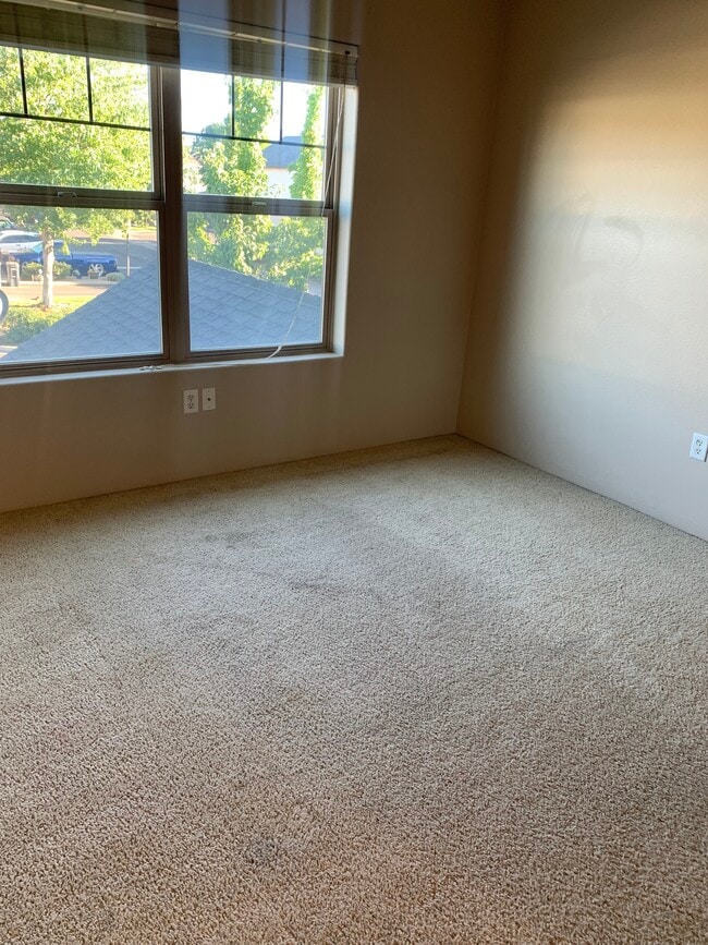 Spare Bedroom - 241 Daisy Creek Village Dr