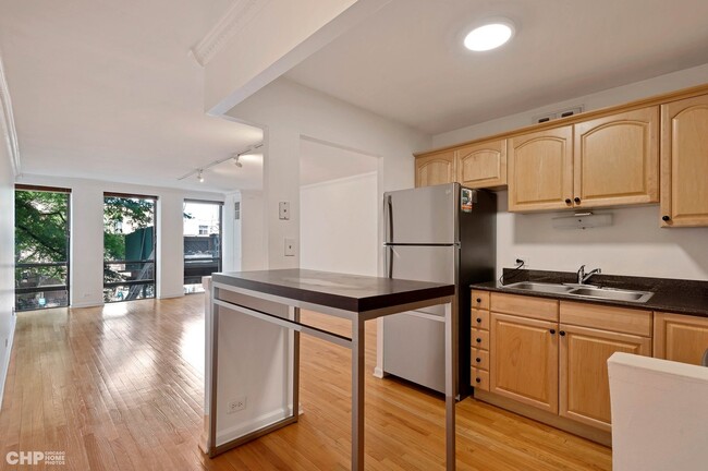 Building Photo - 1660 N La Salle Dr