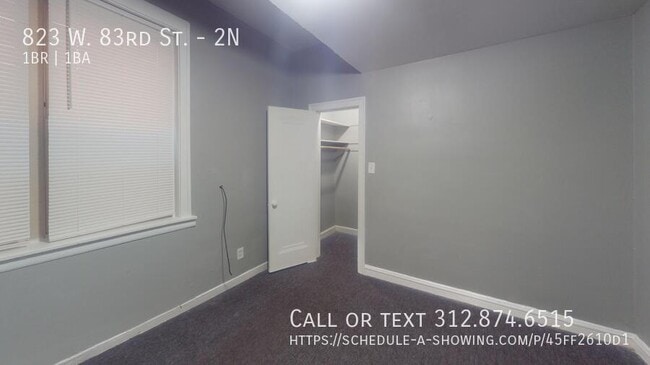 Building Photo - 823 W 83rd St