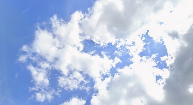 Building Photo - 1803 Great Falls St