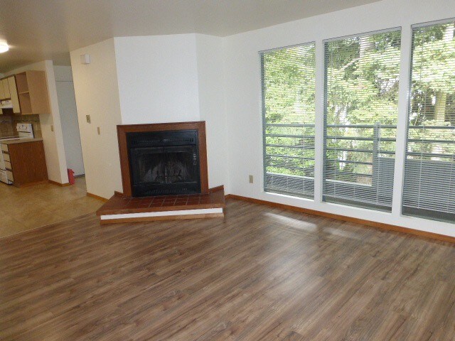 Fireplace in living room. - 19049 108th Ave SE