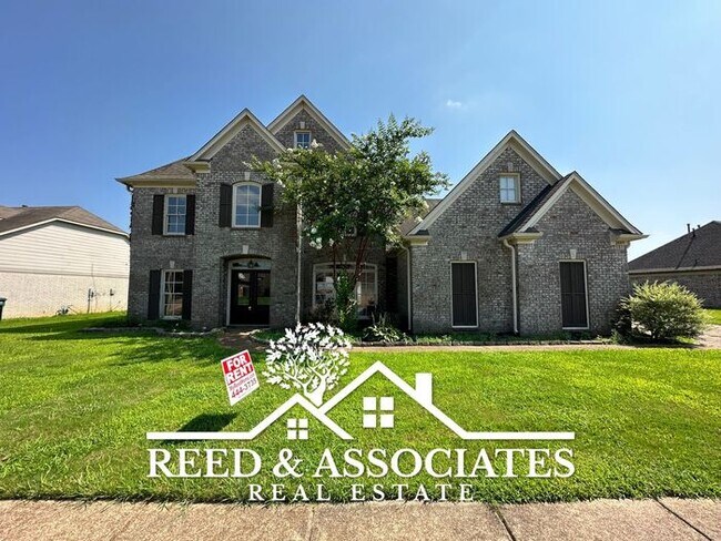 Foto del edificio - 4 Bedrooms in Southaven!