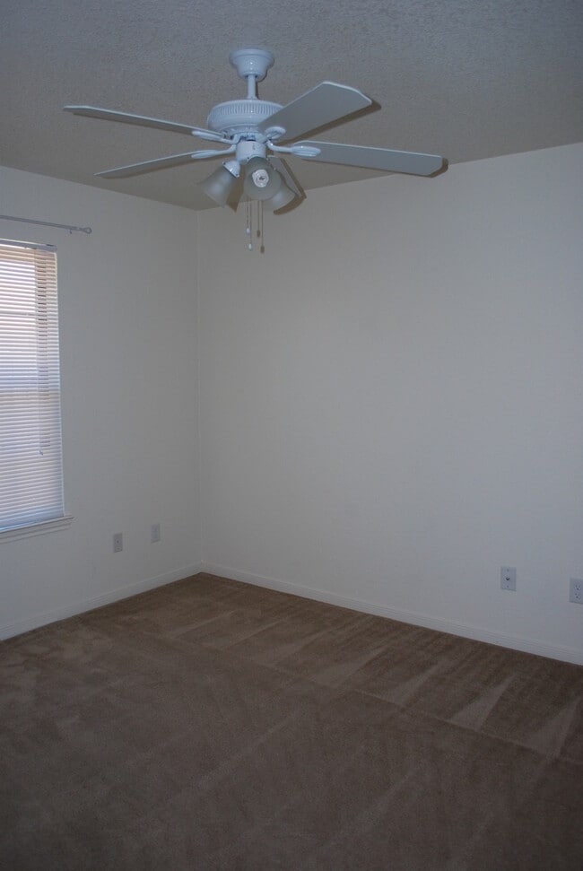Building Photo - 913Daisy