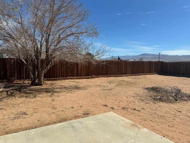 Large fenced backyard - 13177 Nicola Rd