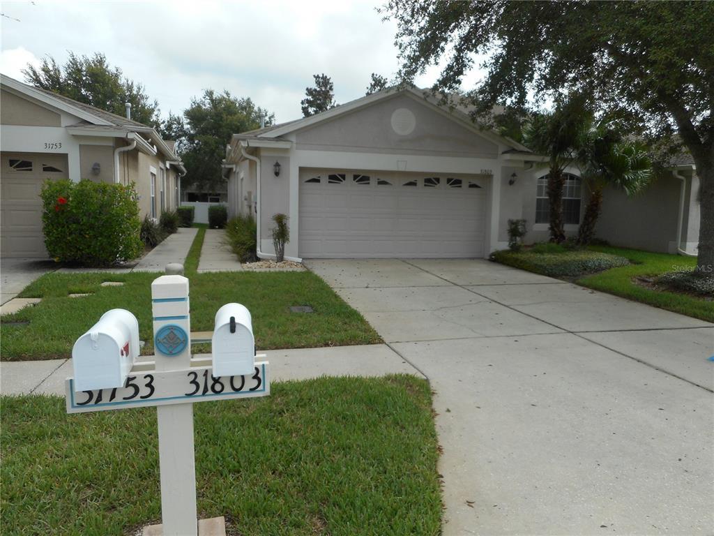 31803 Blythewood Way, Wesley Chapel, FL 33543 House for Rent in