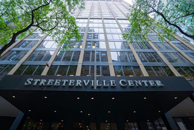 Foto del edificio - 233 E Erie St