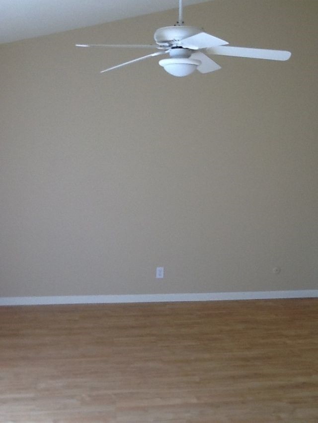 Building Photo - 1113 Cedar Creek Dr