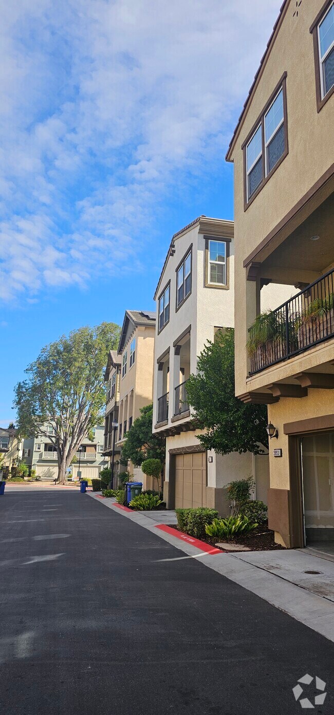 Fallbrook Houses for Rent with High Ceilings Fremont, CA 1 Homes