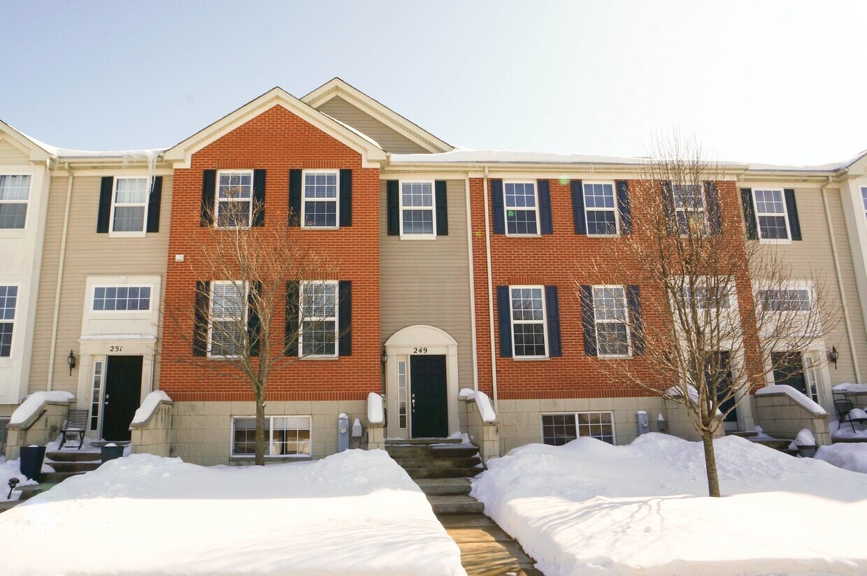 249 Jackson St, Gilberts, IL 60136 Townhome Rentals in Gilberts IL
