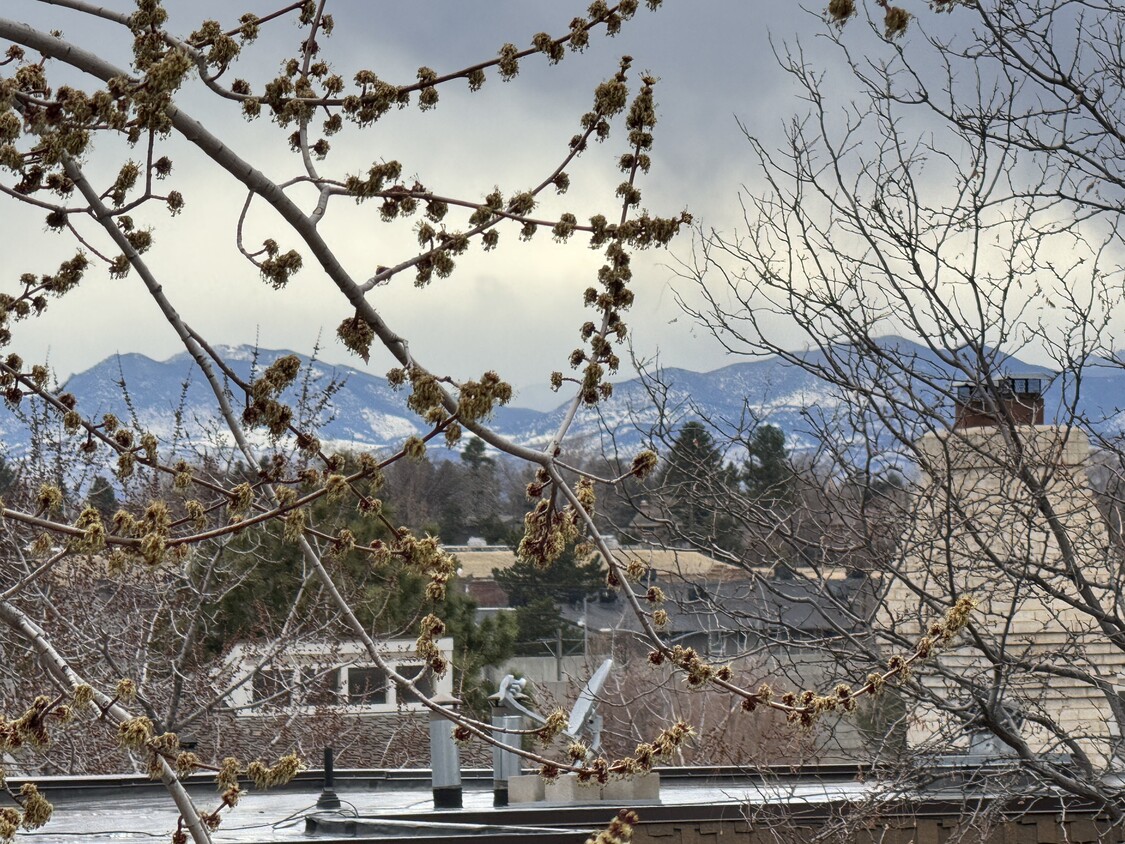 Photo - 7255 E Quincy Ave (Denver, CO)