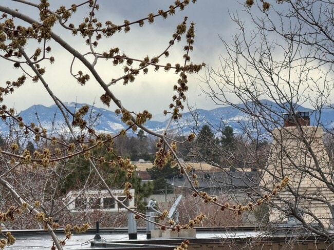 Photo - 7255 E Quincy Ave Apartment