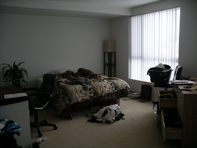 Foto del edificio - 2810 E College Ave