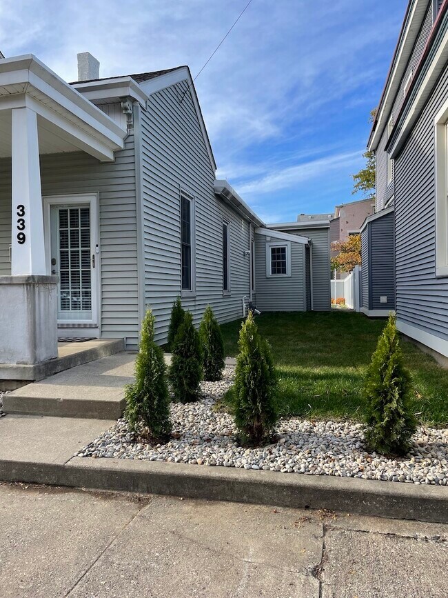 Side yard - 339 Poplar St