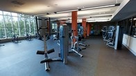 This two-floor fitness facility is designed to support a comprehensive workout experience for users of all fitness levels. The main floor showcases a spacious, open layout with rubber flooring optimized for heavy equipment use. A robust selection of Matrix-brand strength machines is arranged throughout the floor, providing dedicated stations for targeted muscle training. Bold orange structural columns punctuate the space, adding a dynamic visual contrast to the neutral surroundings. Large windows along one wall flood the interior with natural light and offer views of the surrounding greenery, creating an energizing atmosphere. Toward the rear of the floor, a functional training zone houses stability balls in multiple sizes, resistance equipment, and additional free weights, offering versatility for a wide range of workout routines. Overhead, sleek linear lighting complements the natural light to ensure the entire space is well-illuminated. The overall ambiance is modern and motivating, with a clean, professional aesthetic throughout. The facility's two-floor layout allows for thoughtful separation of workout zones, accommodating both strength training and other fitness activities across distinct levels.