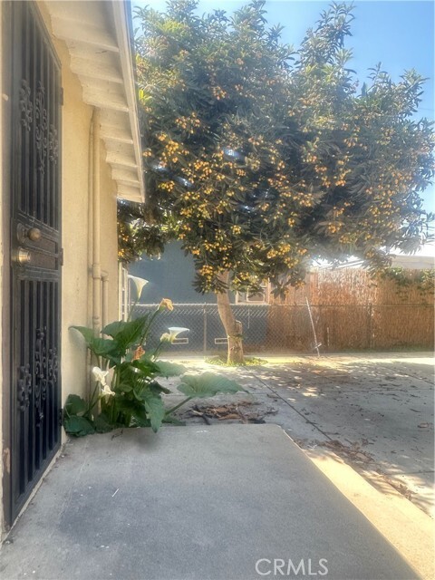 Foto del edificio - 257 W Hampton Ct