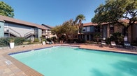 This outdoor pool area offers a generously sized, sparkling swimming pool as its centerpiece, complemented by an adjacent spa for relaxation. The surrounding sun deck is finished in a durable concrete surface and is furnished with multiple lounge chairs and umbrella-shaded seating, providing ample space for sunbathing and outdoor leisure. Sturdy metal handrails offer convenient pool entry and exit points.

The pool area is enclosed by a black wrought iron fence, ensuring privacy and security. Mature shade trees, palm trees, flowering shrubs, and manicured landscaping beds create a lush, resort-like atmosphere, with a dedicated paver seating area nestled among the greenery for a more intimate outdoor experience.

A poolside facility building with stucco exterior walls, dark wood-trimmed entry doors, and wall-mounted lighting provides access to pool amenities and houses posted pool rules. Large glass sliding doors and windows on the building offer a direct sightline to the pool. The multi-story residential buildings surrounding the pool area feature brick and lap siding exteriors with balconies that overlook the pool courtyard, enhancing the overall sense of a vibrant community outdoor space beneath wide-open blue skies.