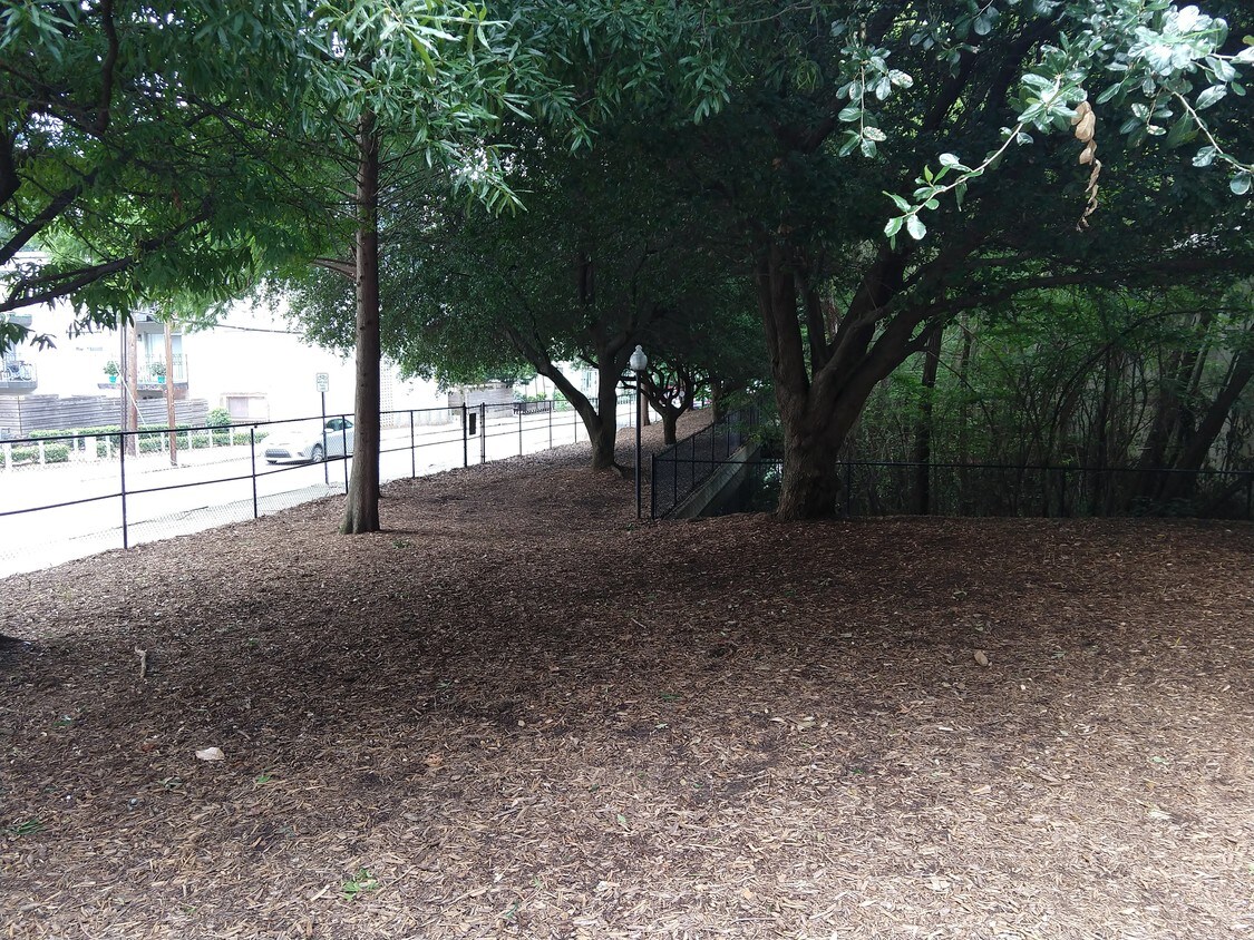 1074 Peachtree Walk NE Unit B 308, Atlanta, GA 30309 Condo for Rent