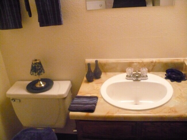 Downstairs Bath - 3714 Oro Blanco Dr