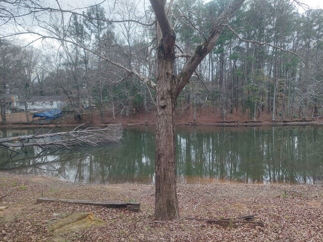 Building Photo - Waverly Hall (Harris County) Lake View