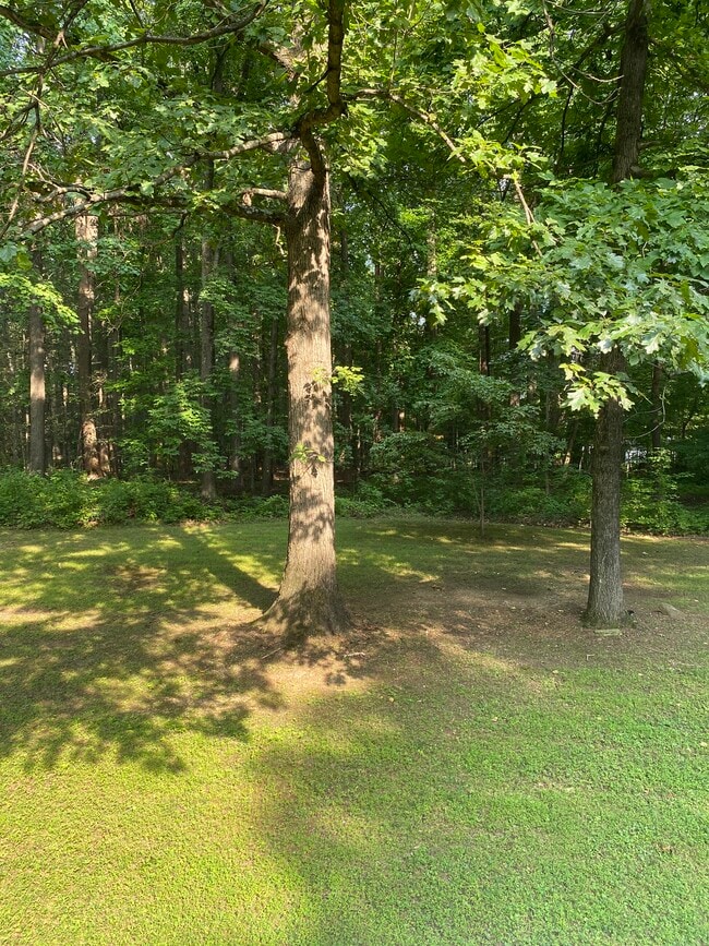 Building Photo - 2117 Parsonage Ln