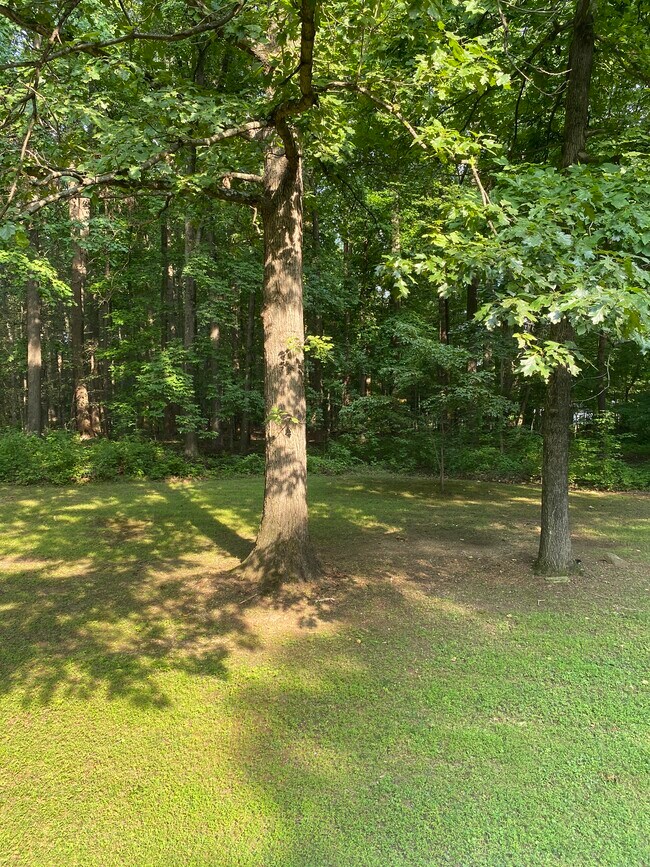 Foto del edificio - 2117 Parsonage Ln