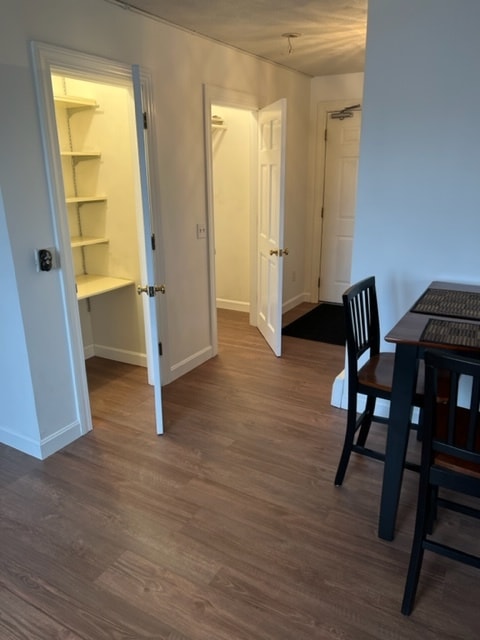 kitchen pantry & coat closet - 919 Main St