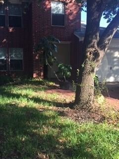 Foto del edificio - 9311 Stoneridge Canyon Ln