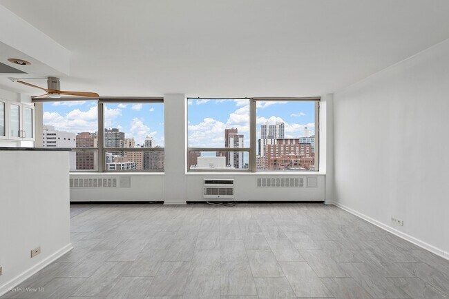 Foto del edificio - 1355 N Sandburg Terrace