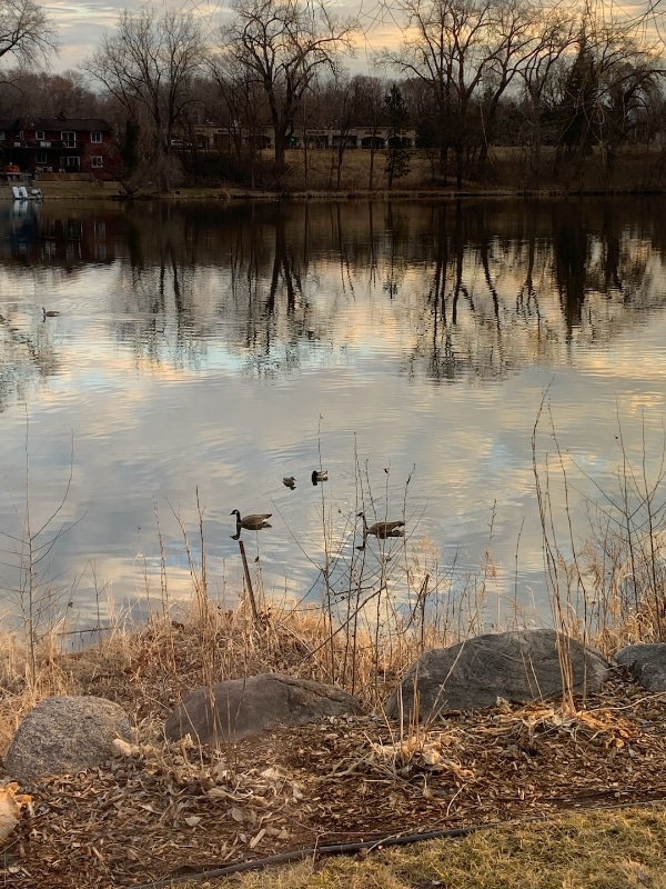 Building Photo - 5 Round Lake Trail